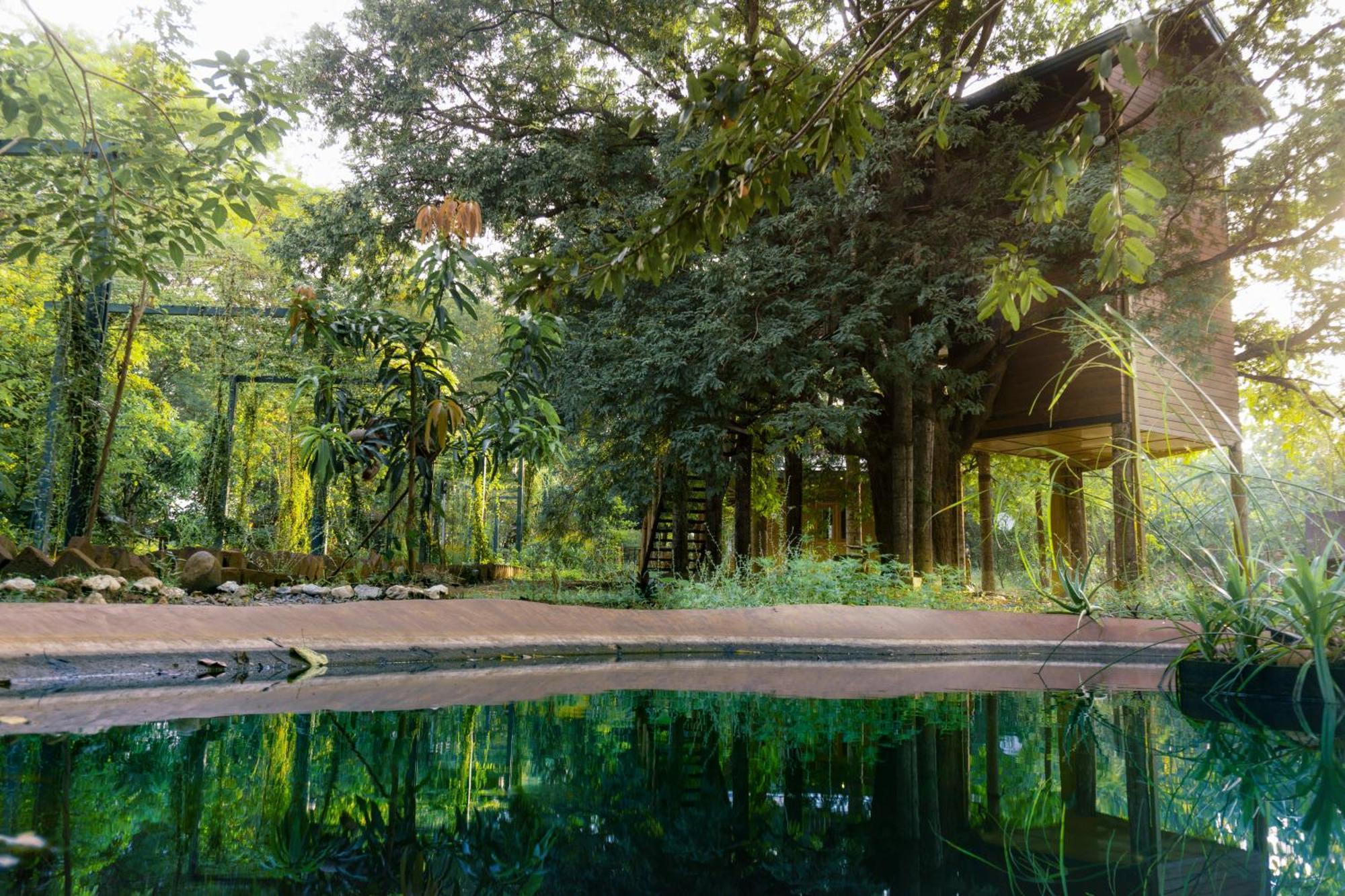 La Pentera Hotel Hambegamuwa Exterior foto